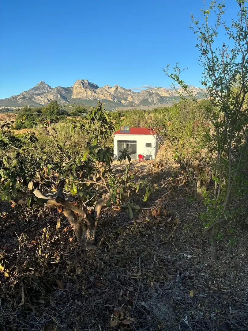 Terreno rustico in vendita a Callosa d'en Sarrià, imagen 7