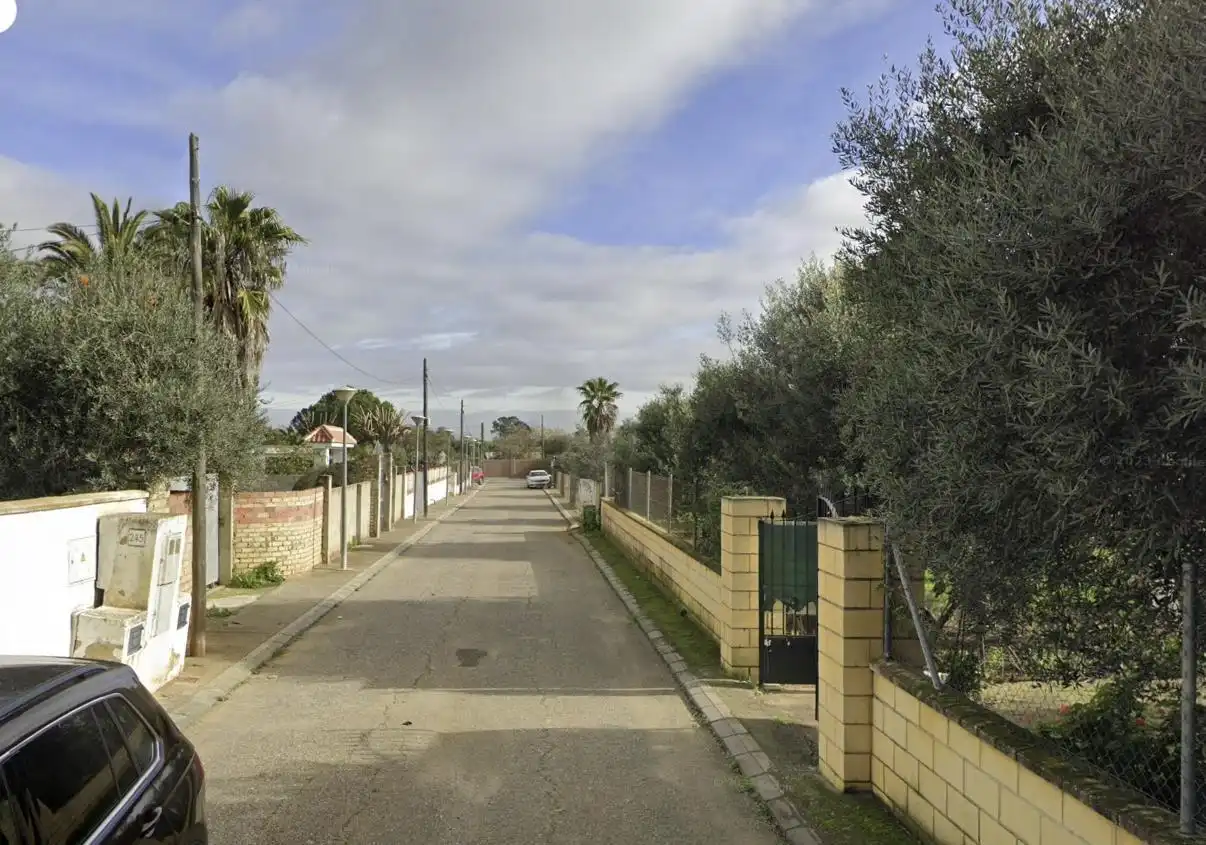 Vista exterior de Casa o chalet en venta en Carmona con Jardín privado y Piscina comunitaria