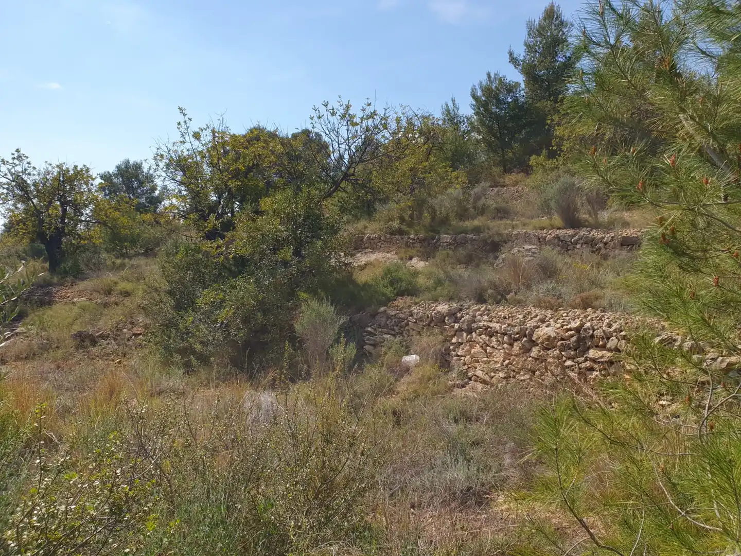 Residential land for sale in Pl Número 115, imagen 7
