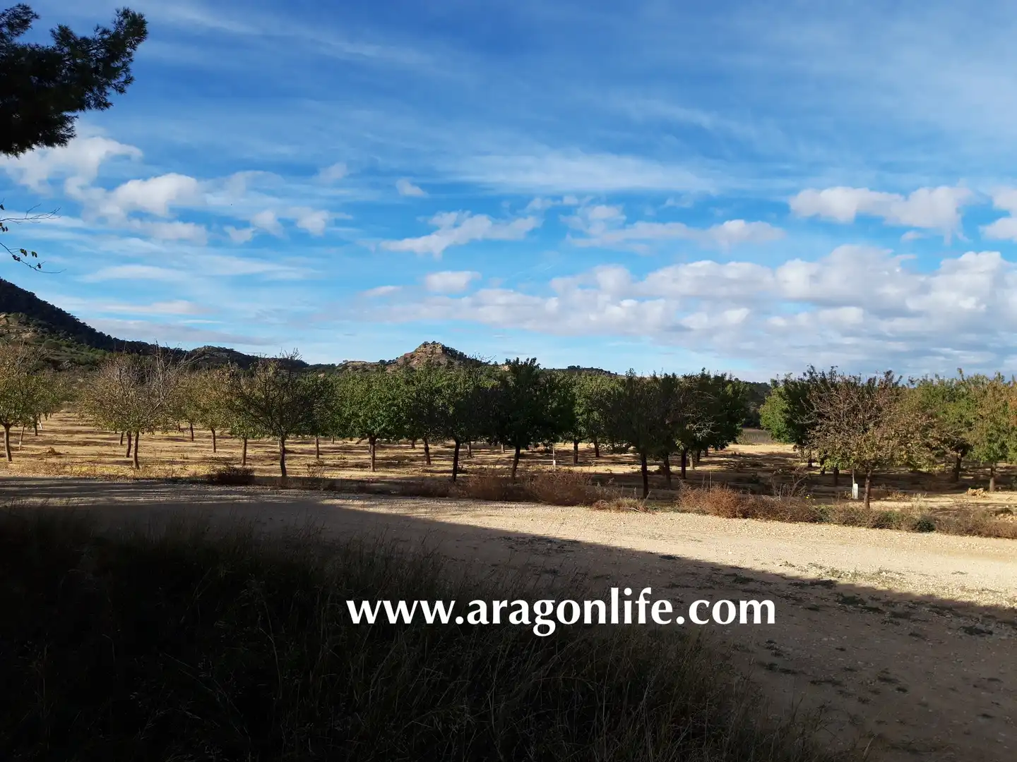 Country house zum Verkauf in Caspe