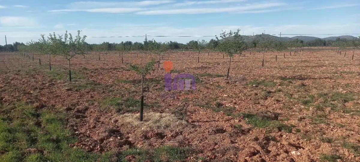 Finca rústica en venda en Valdepeñas