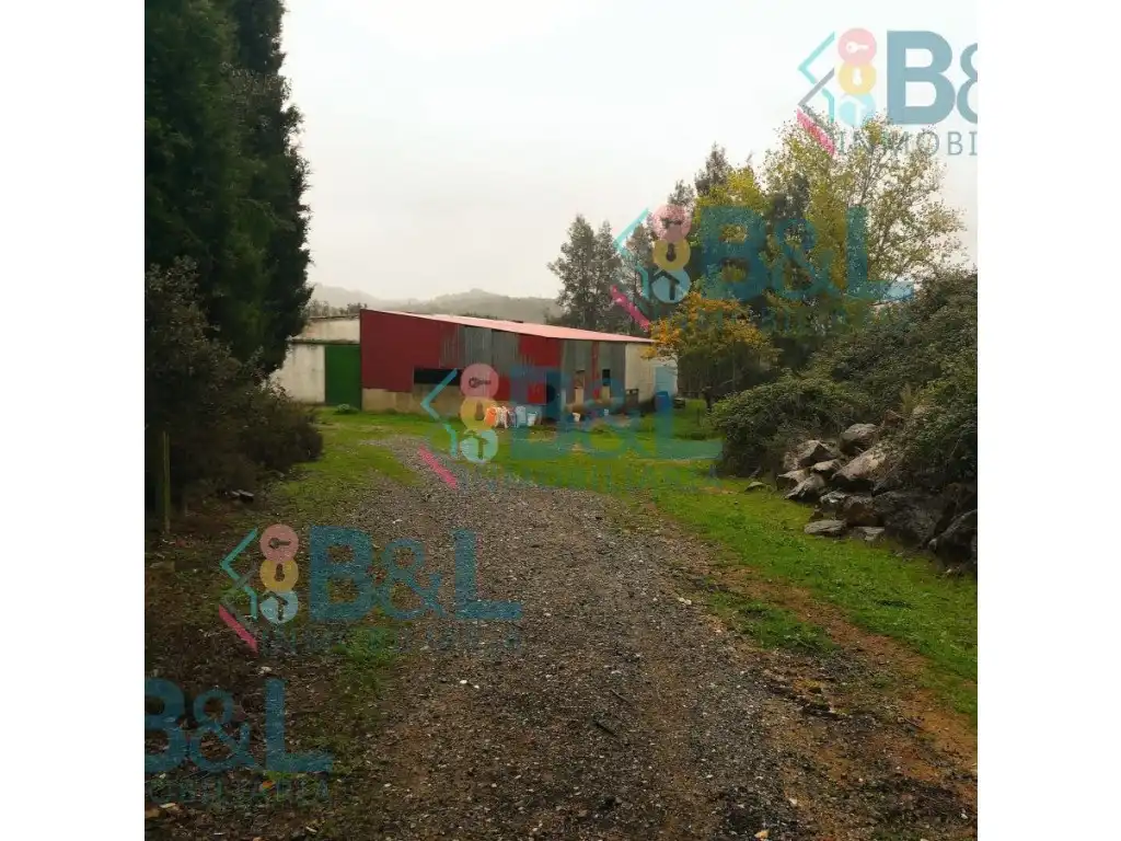 Casa o chalet en venta en Jabugo