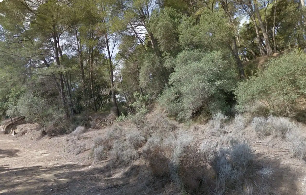 Terreno residenziale in vendita a Vallesa, imagen 23
