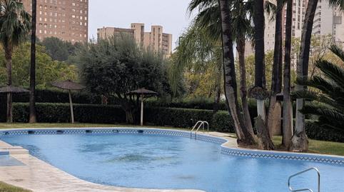 Photo 3 of Flat for rent in Torre de Les Mançanes , Playa Poniente, Benidorm