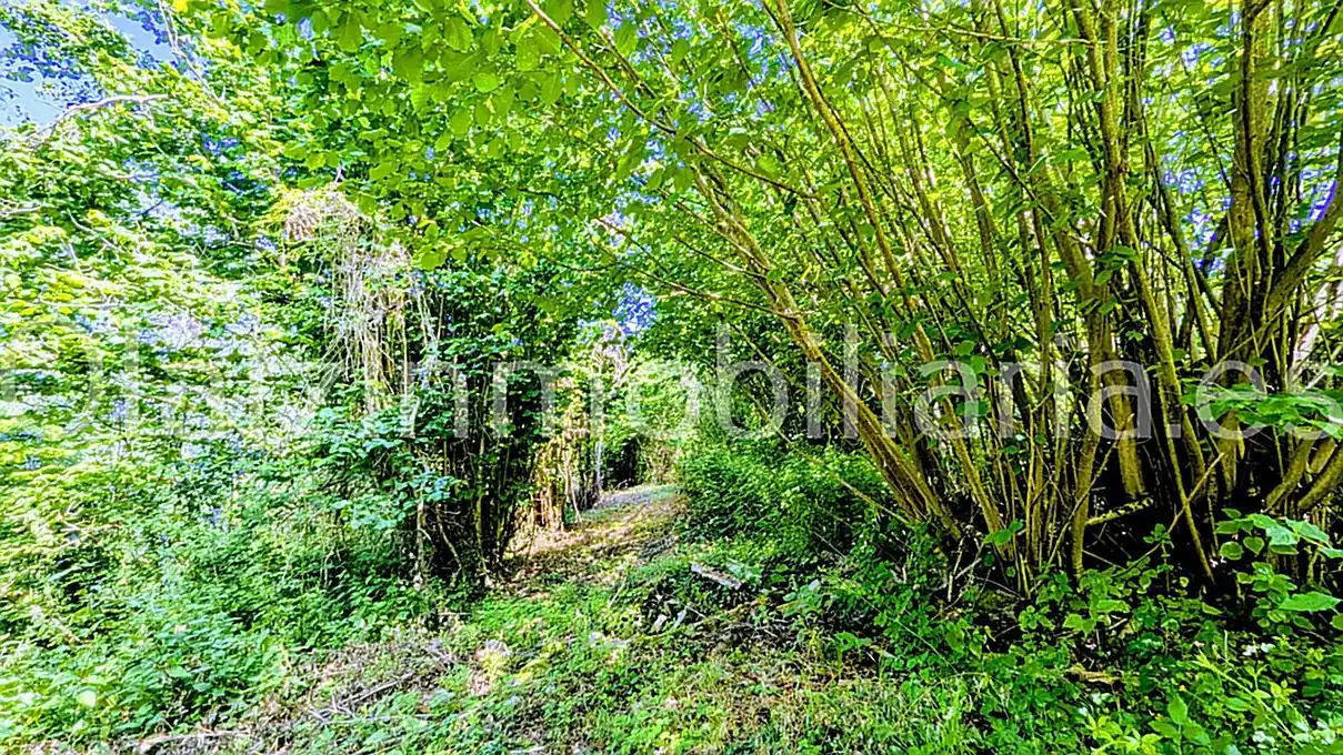 Casa o chalet en venta en Ayala / Aiara con Calefacción