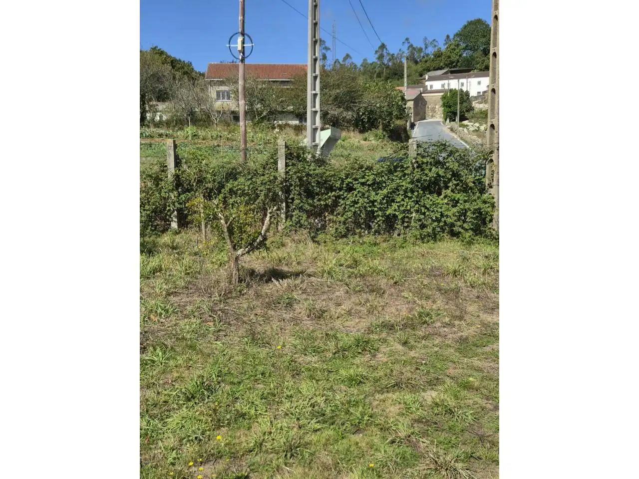 Country homes for sale in Rois  with Private garden, Furnished and Alarm
