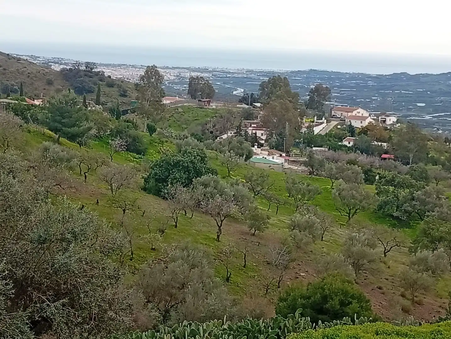 Terreni e lotti in vendita a Vélez-Málaga ciudad