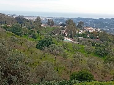 Terreny rústic en venda a Vélez-Málaga ciudad