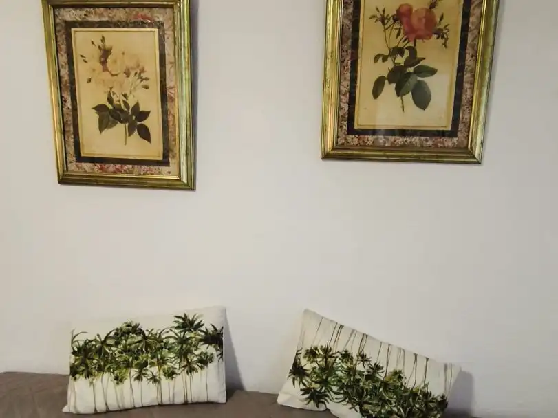 Studio mit Aufzug zur Miete in Dr. Guirao Gea 1, imagen 6
