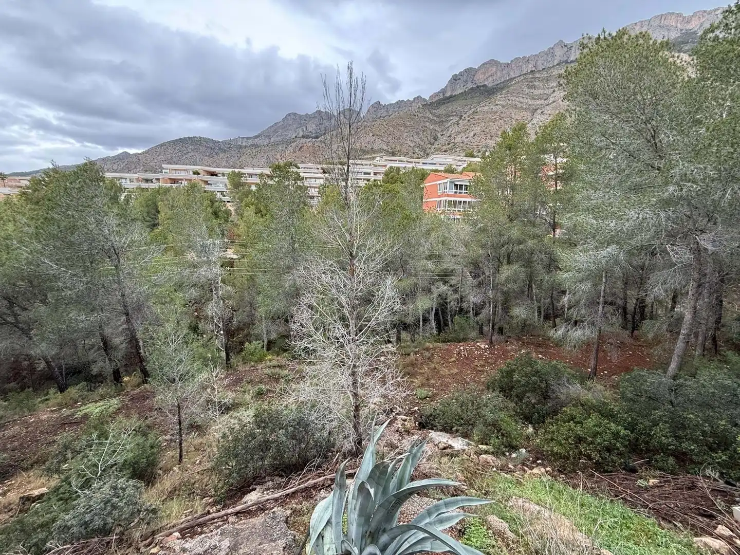 Terreny residencial en venda a Erica, imagen 12