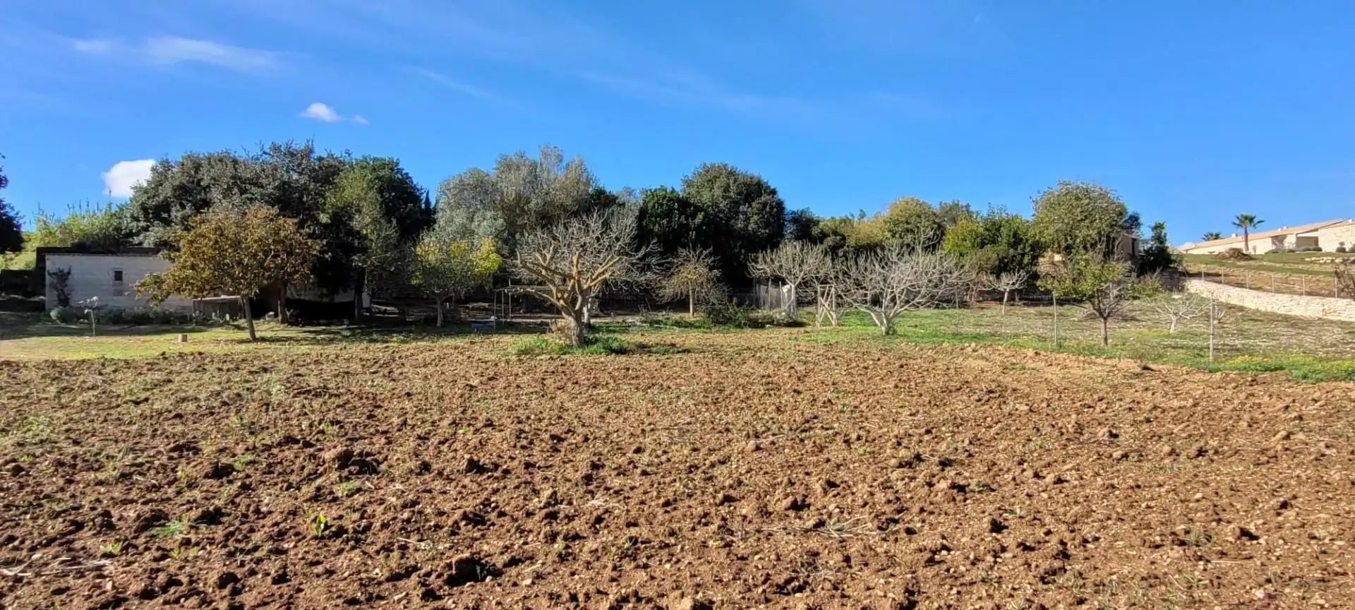 Terreno rústico en venta en Manacor Centre, imagen 6