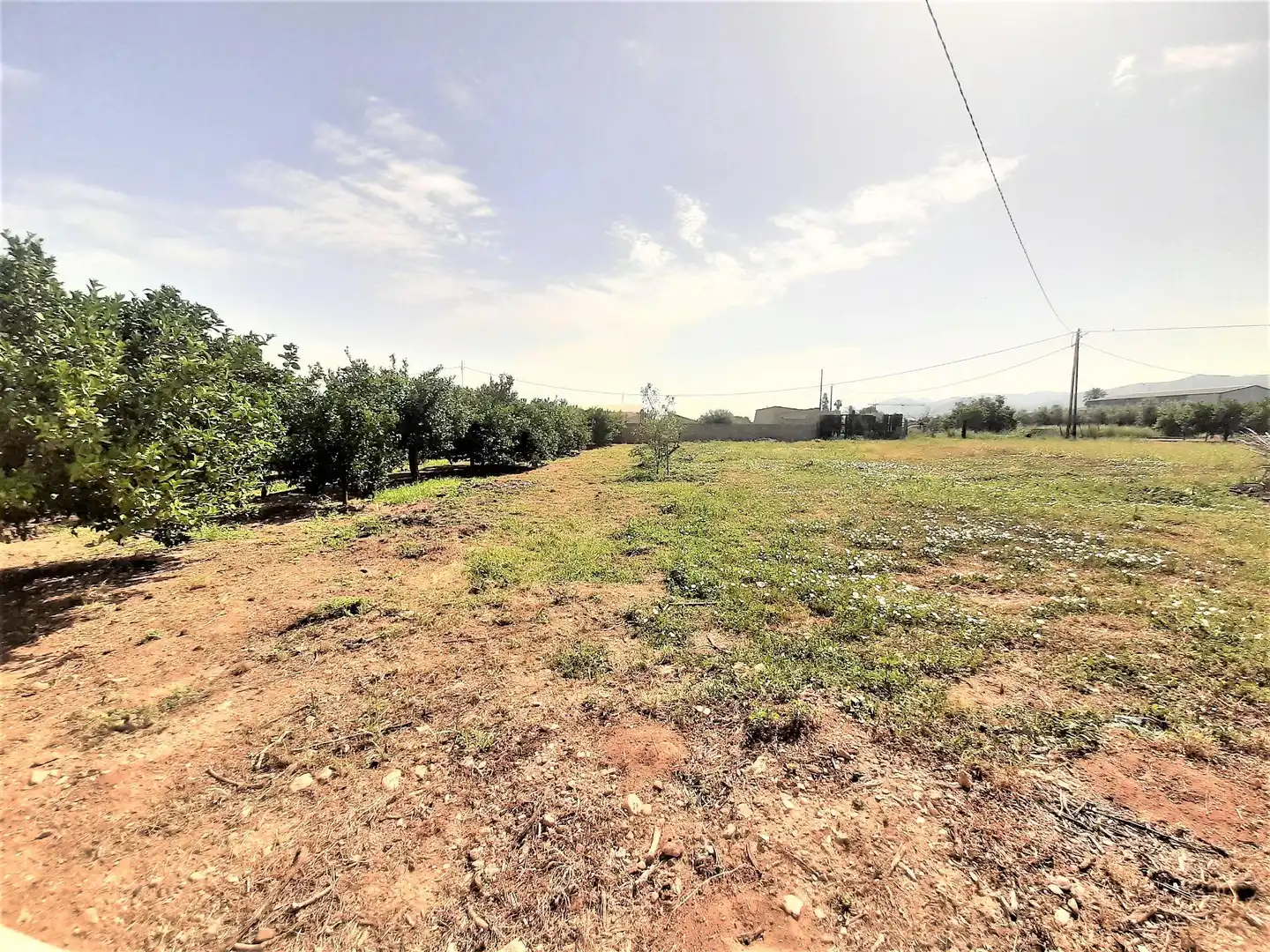Terreny residencial en venda a Pedanías Sur