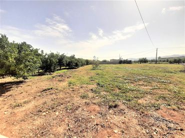 Terreny residencial en venda a Pedanías Sur