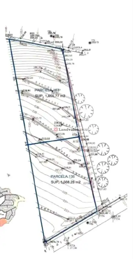 Lands and plots for sale in Albatros, imagen 9