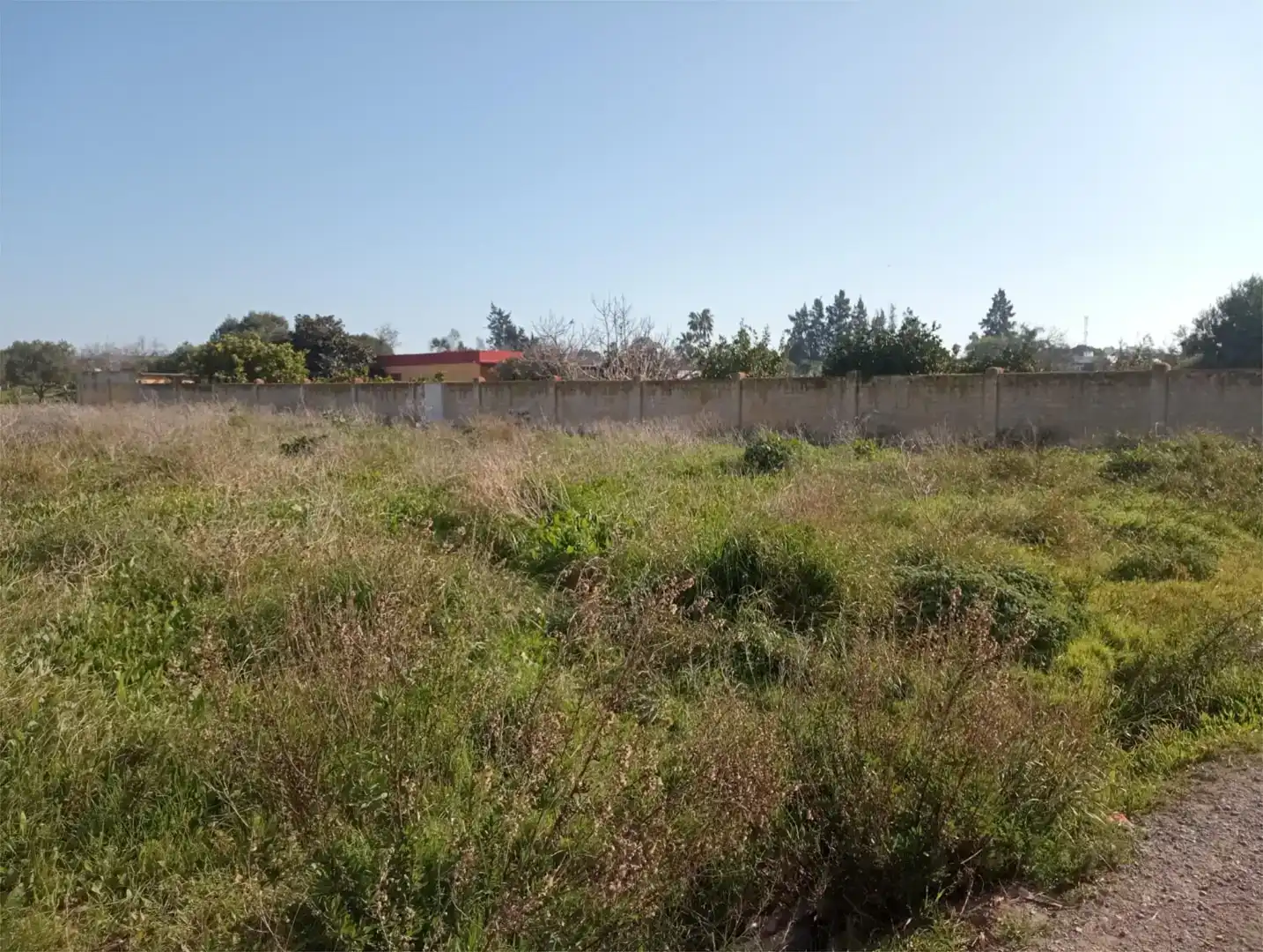 Finca rústica en venda en Sanlúcar de Barrameda