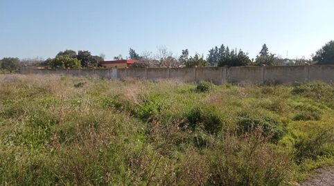 Foto 3 de Finca rústica en venda a Camino de Cabeza de la Vaca, 10, La Jara, Sanlúcar de Barrameda
