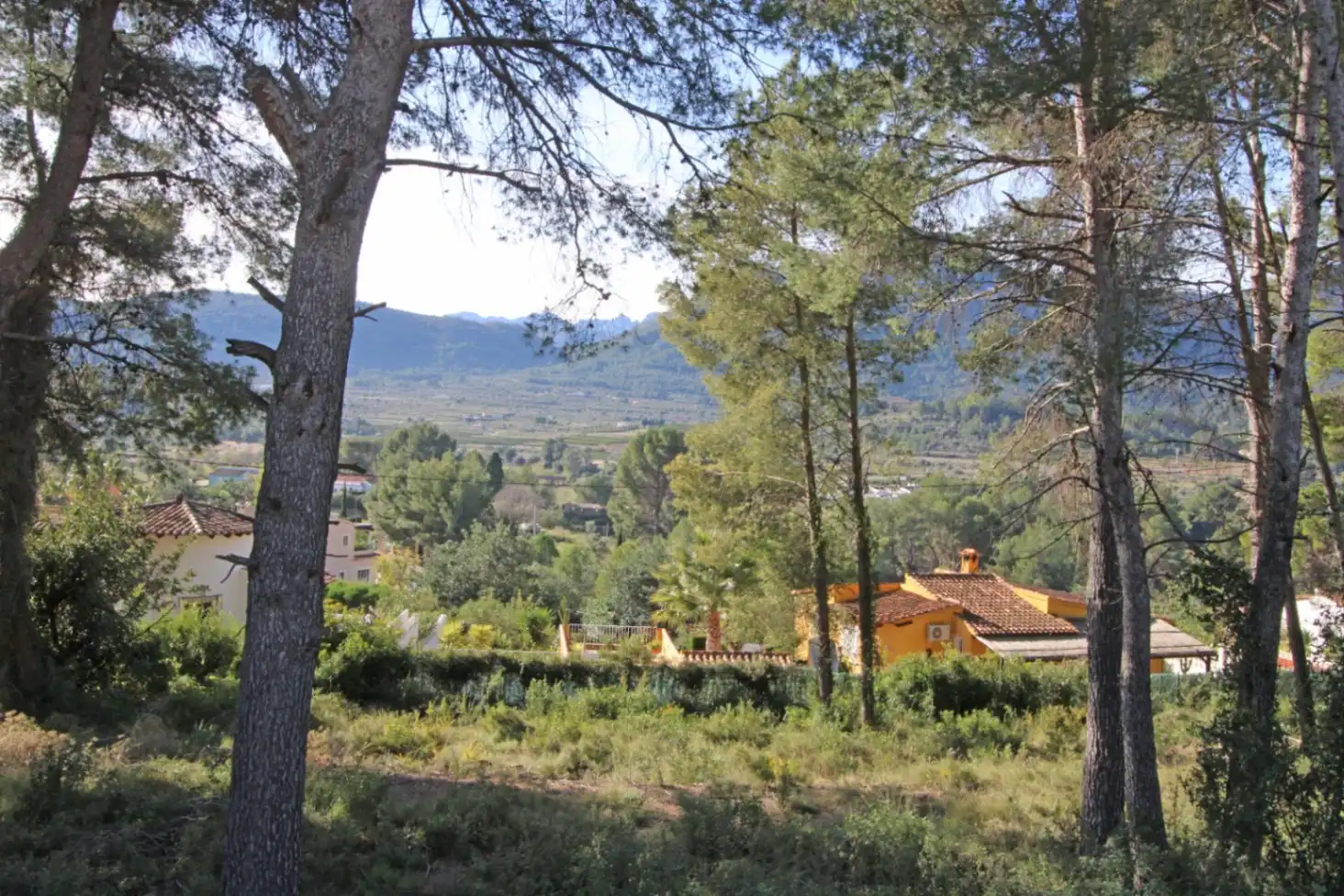 Terreny residencial en venda a Alcalalí, imagen 3