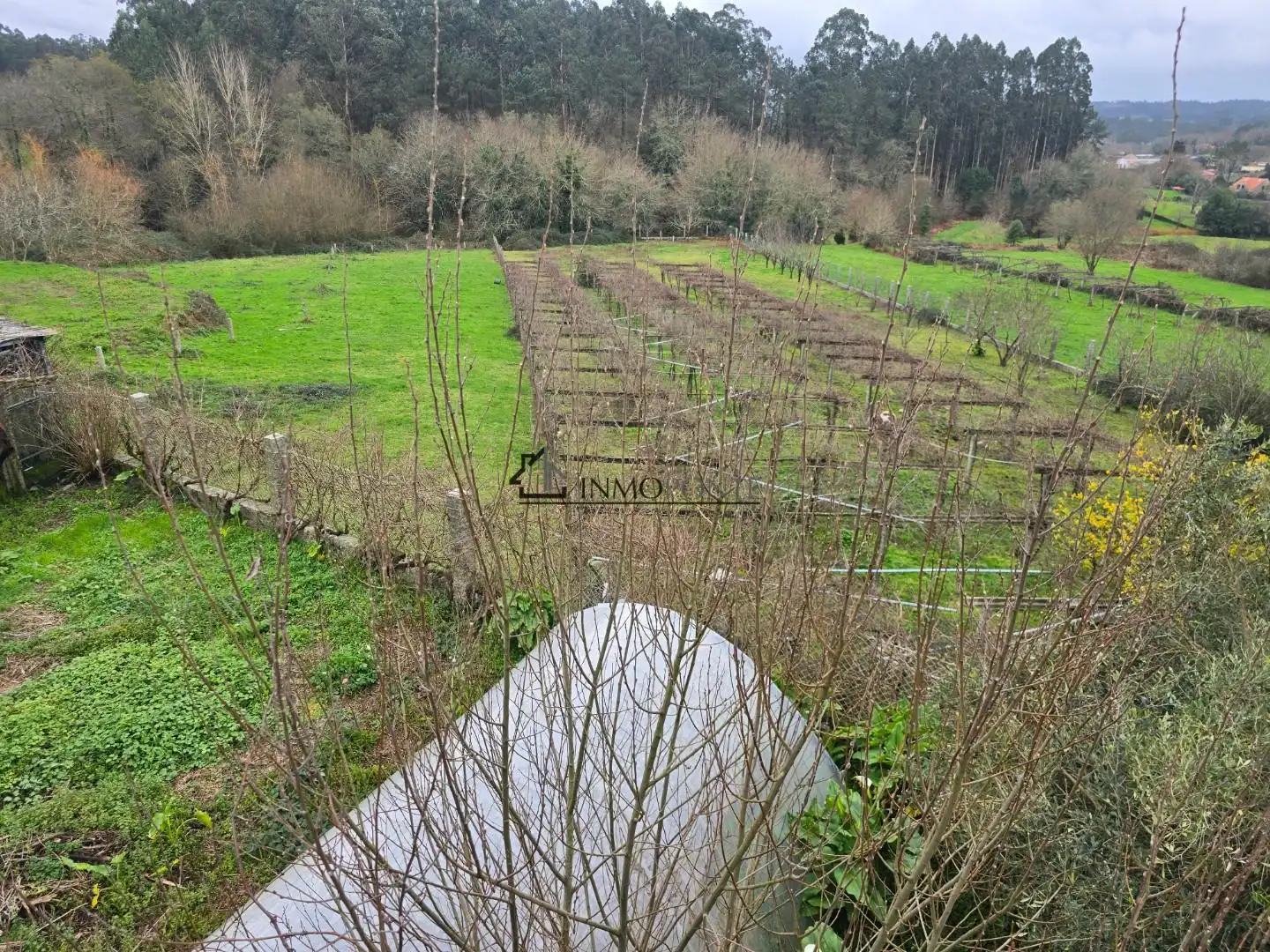 Casa o xalet en venda en Moraña amb Jardí privat