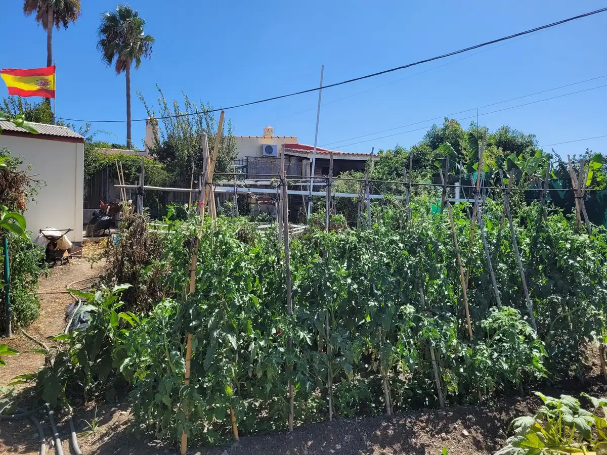 Adosado con terraza en venta en Calle Parque Central 5, imagen 25