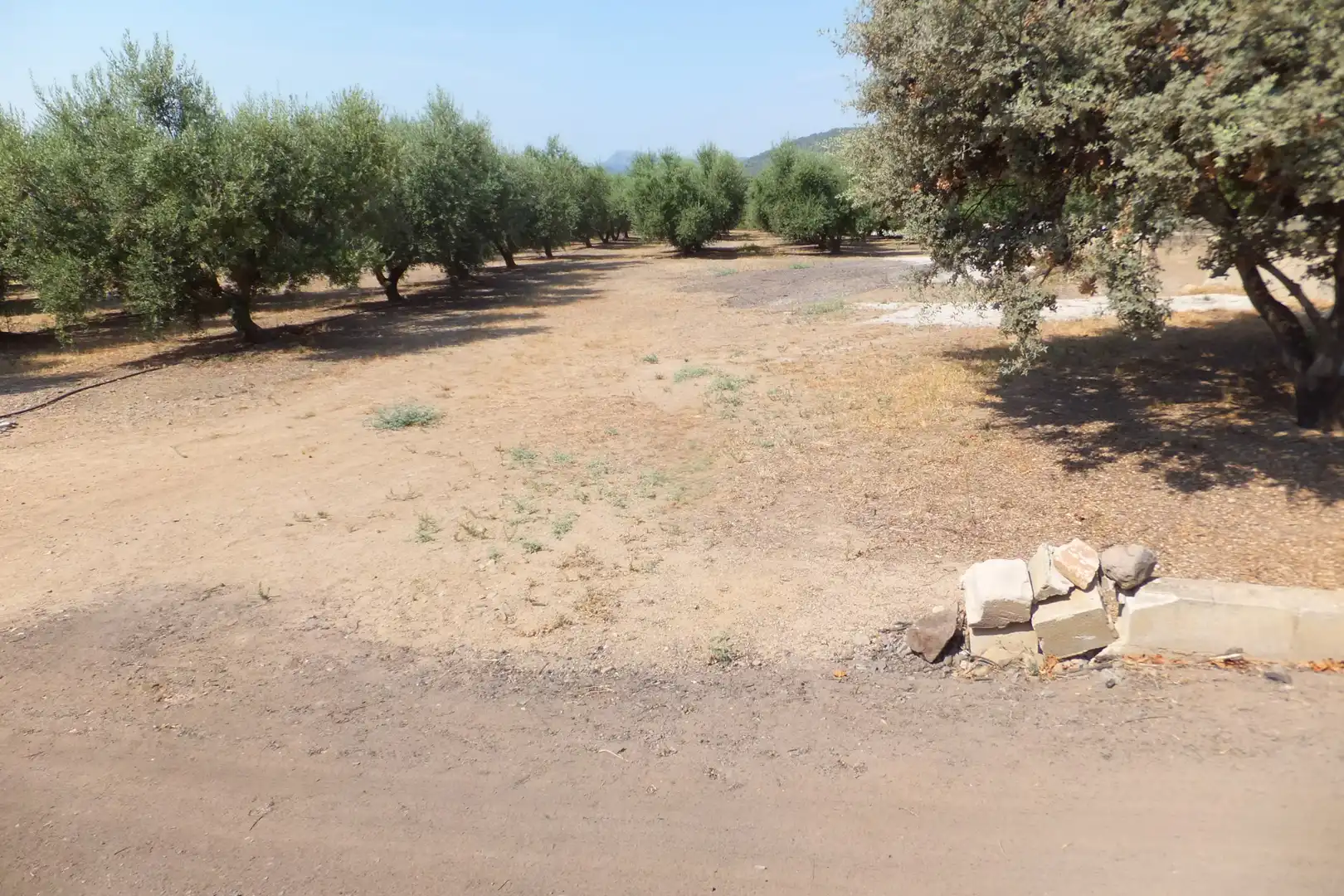 Terreno rústico en venta en Vial Camino, imagen 7