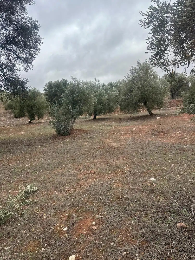 Terreni e lotti in vendita a Cogollos de la Vega, imagen 6