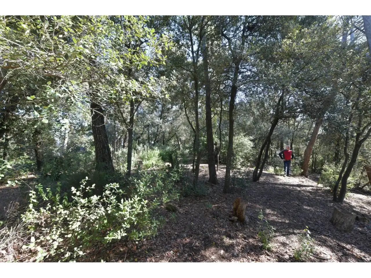 Wohnbaugrundstück zum Verkauf in El Racó - Sant Feliu del Racó, imagen 4