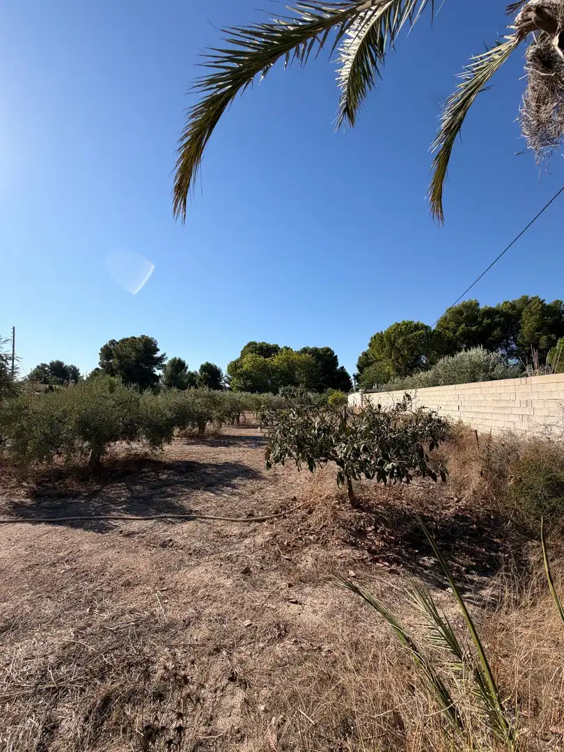 Finca rústica en venta en Campo Alto - Club de Campo  