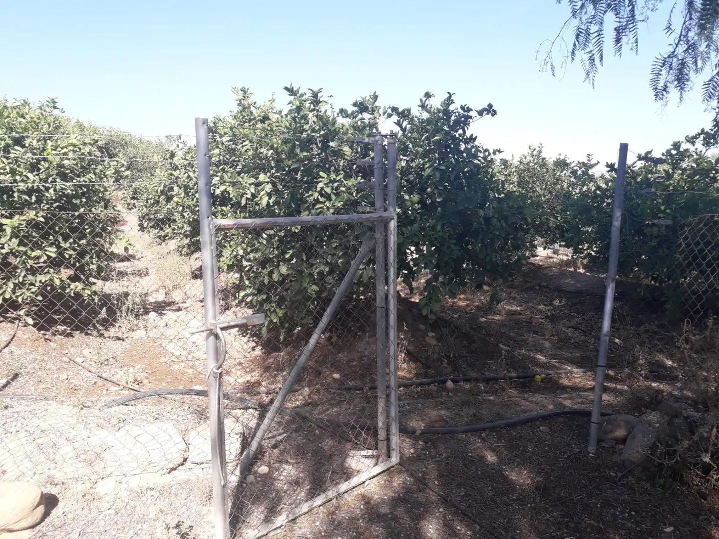 Finca rústica en venda en Cártama amb Aire condicionat, Jardí privat i Traster