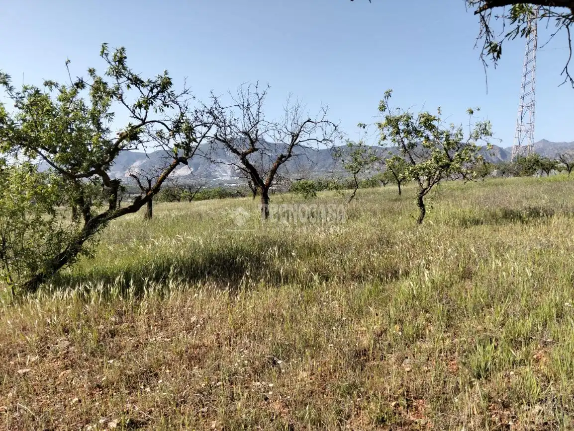 Rural land for sale in Dúrcal, imagen 12