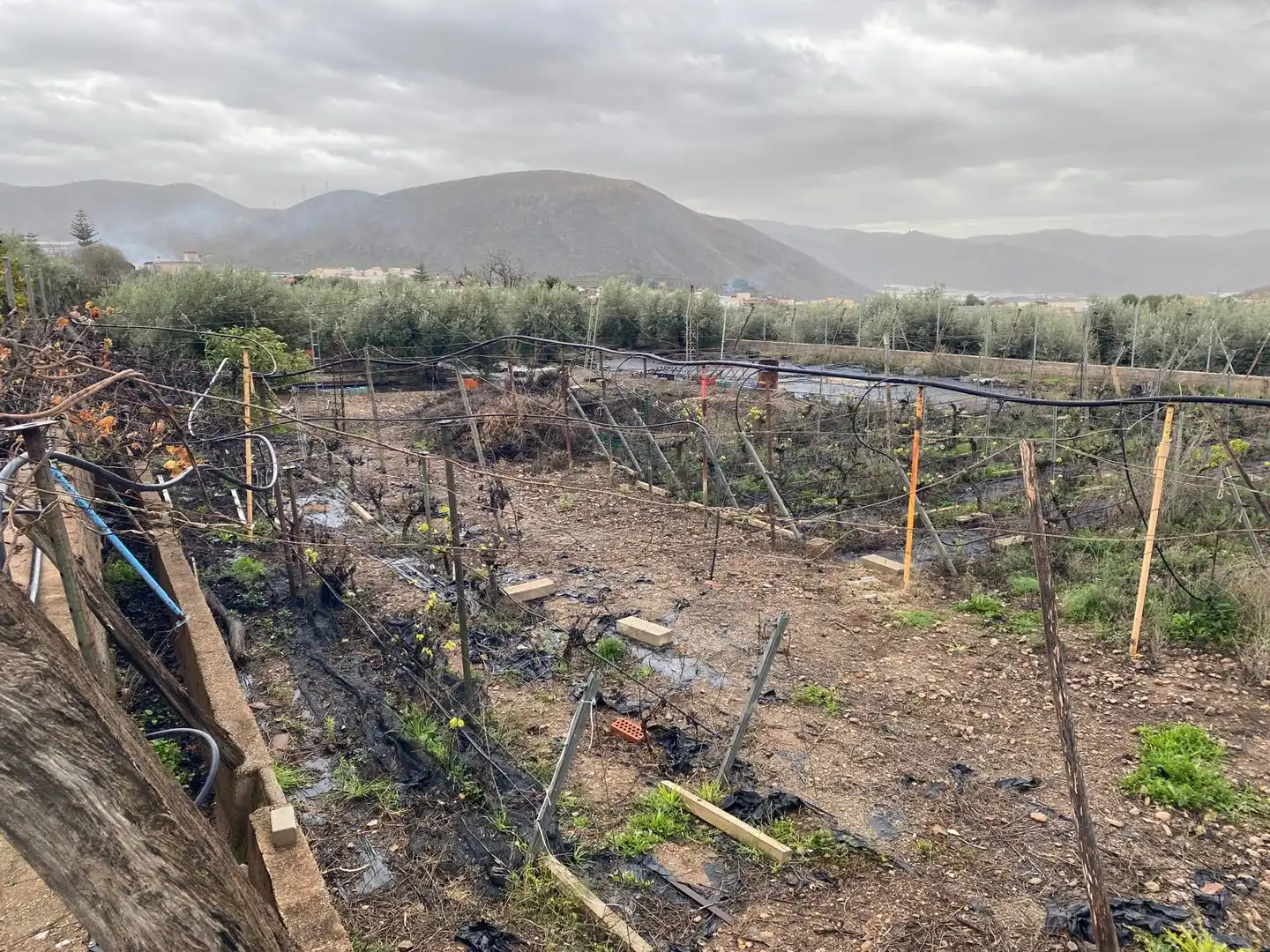 Jardín de Terreno en venta en Berja