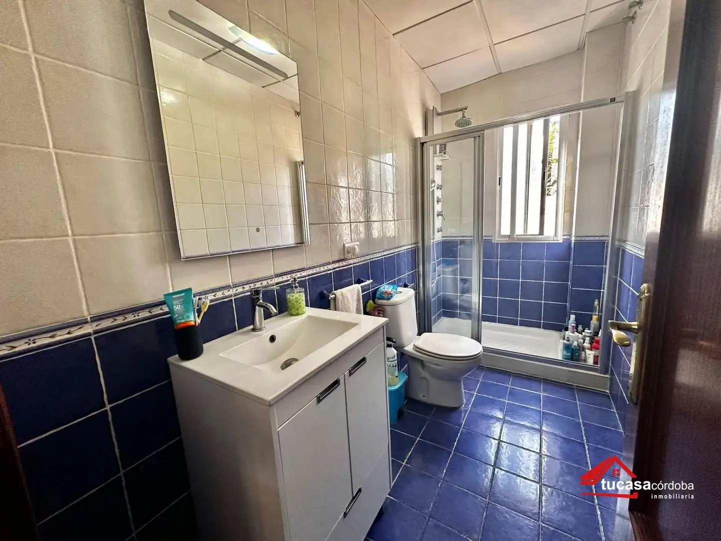 Bany de Casa o xalet en venda en Córdoba amb Aire condicionat, Jardí privat i Piscina
