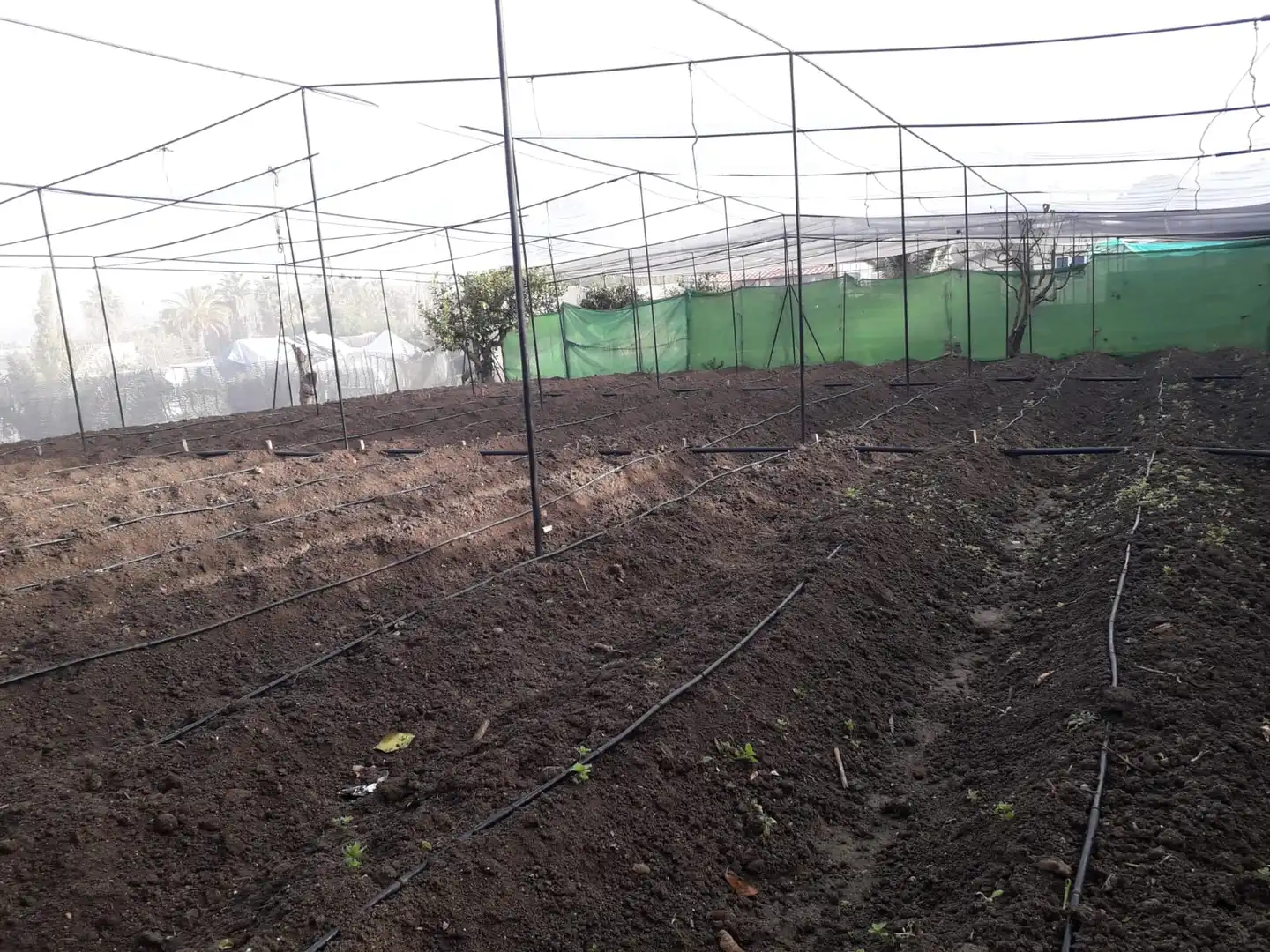 Terreni e lotti in vendita a Villafranco del Guadalhorce, imagen 23