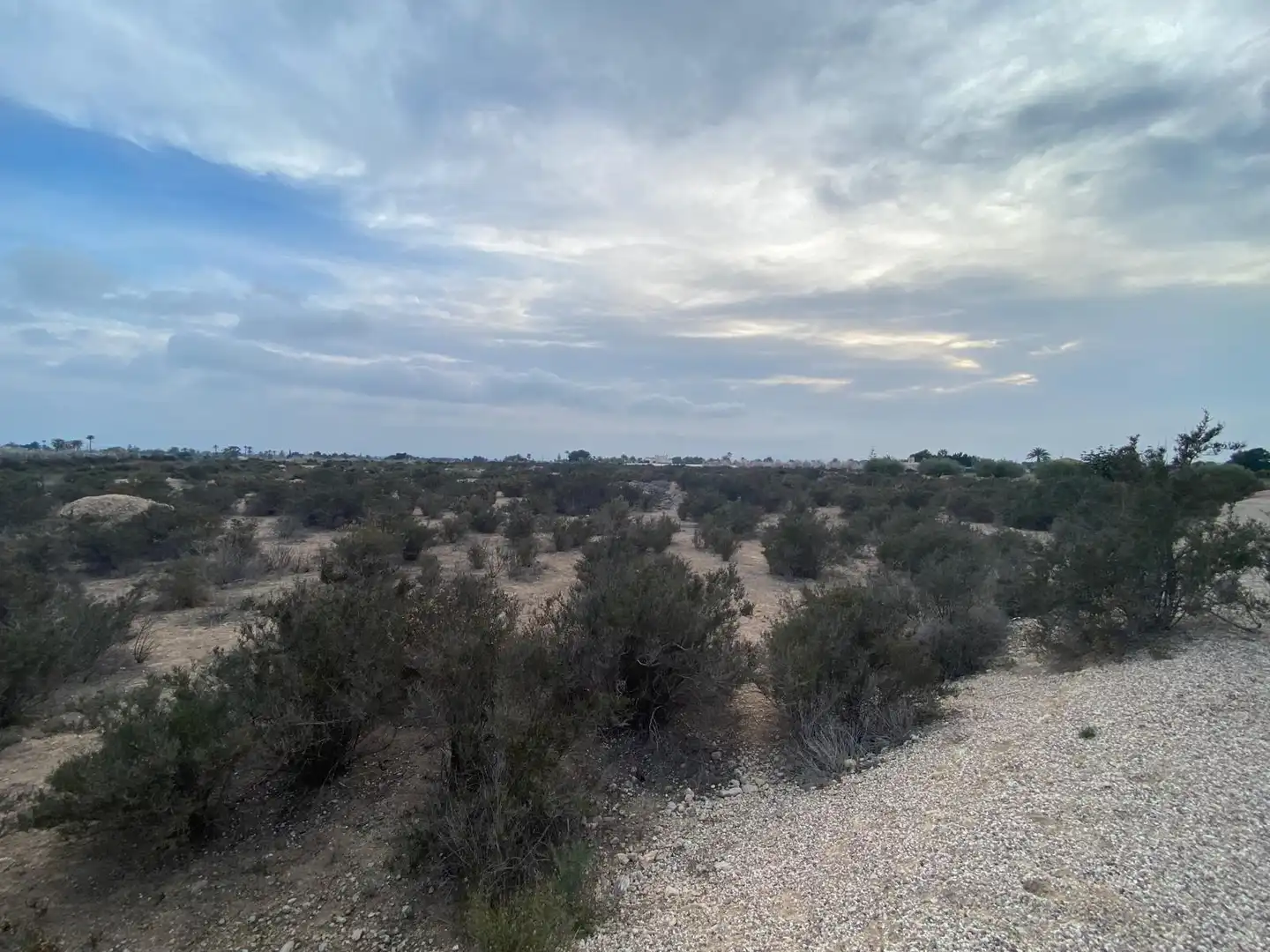 Terreno residenziale in vendita a Catral, imagen 4