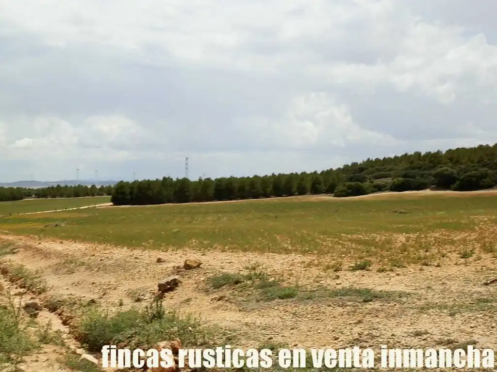 Terreni e lotti in vendita a Bonete, imagen 7