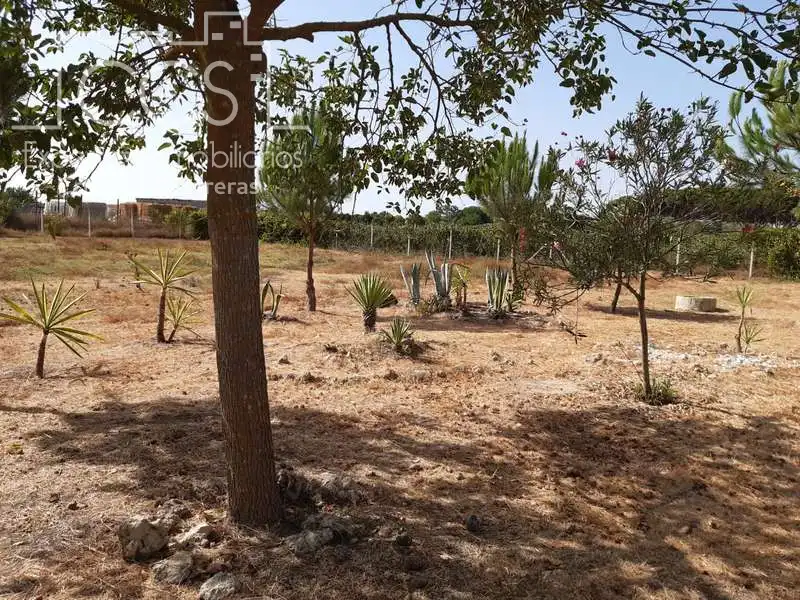 Casa rústica amb jardí en venda a Almonte ciudad, imagen 14