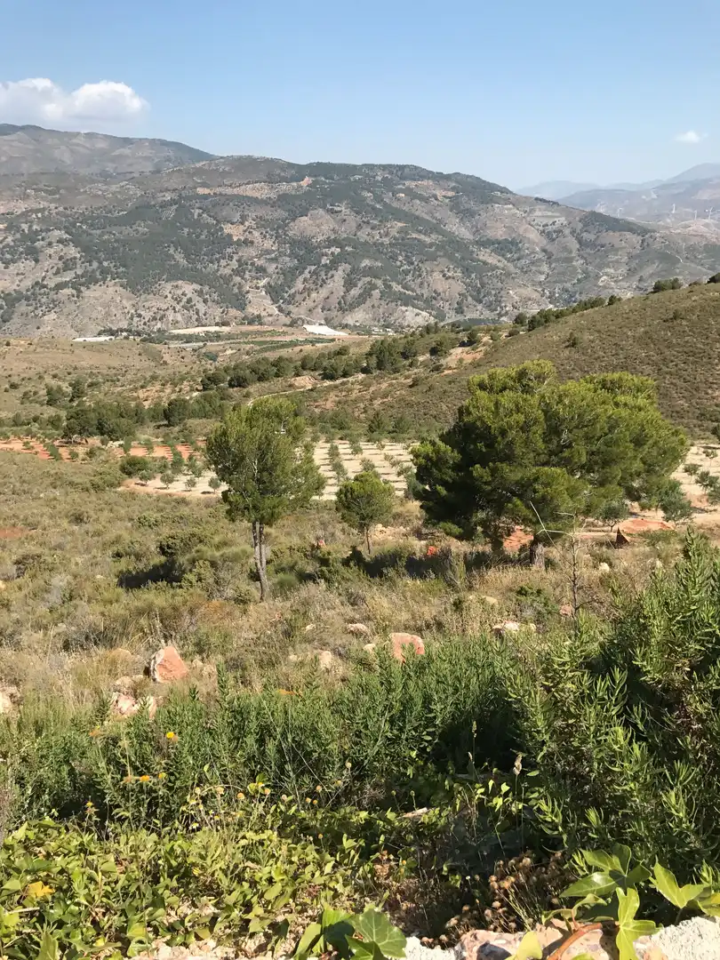 Rustikales Grundstück zum Verkauf in Motril  ciudad, imagen 14