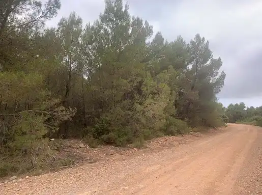 Rustikales Grundstück zum Verkauf in Paraje Fuentecil, imagen 12