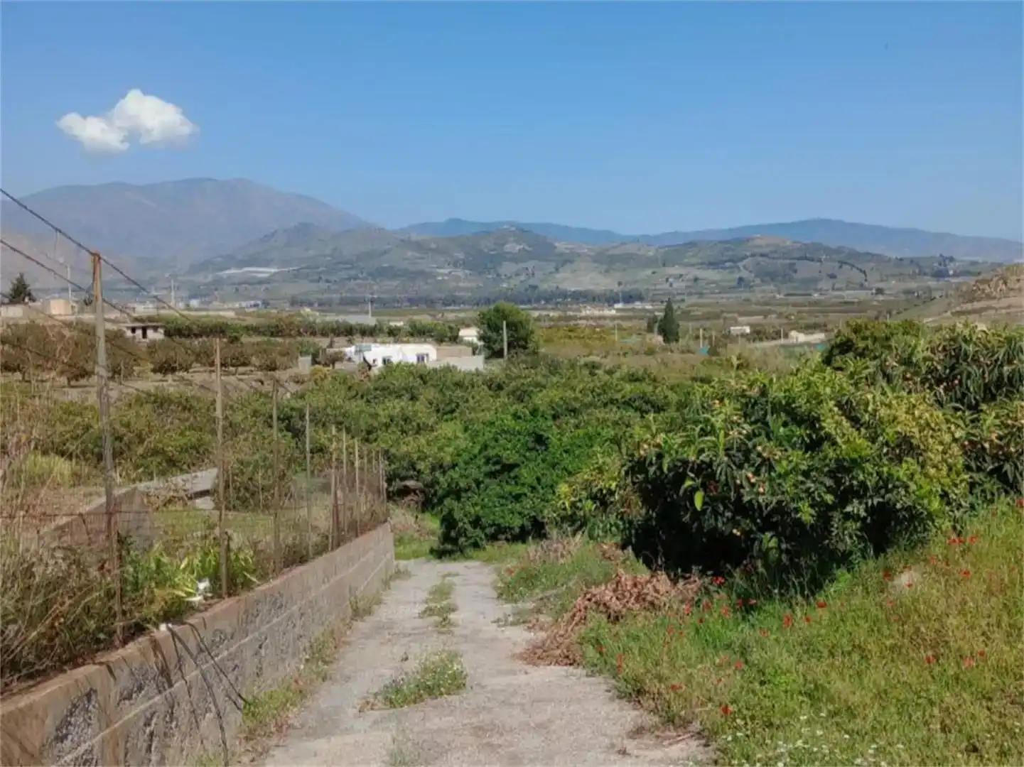 Finca rústica en venda en Salobreña