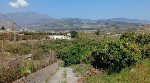 Foto 3 de Finca rústica en venda a Camino del Cementerio, Centro, Salobreña