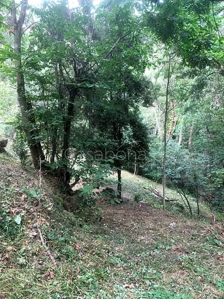 Finca rústica en venta en Arbúcies con Jardín privado, Terraza y Amueblado