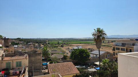 Photo 4 of Houses for rent in Sant Jordi, Palma de Mallorca