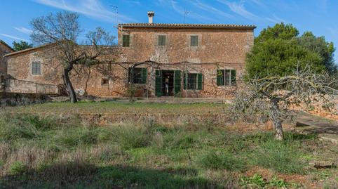 Foto 3 de Finca rústica en venda a Sa Casa Blanca,  Palma de Mallorca