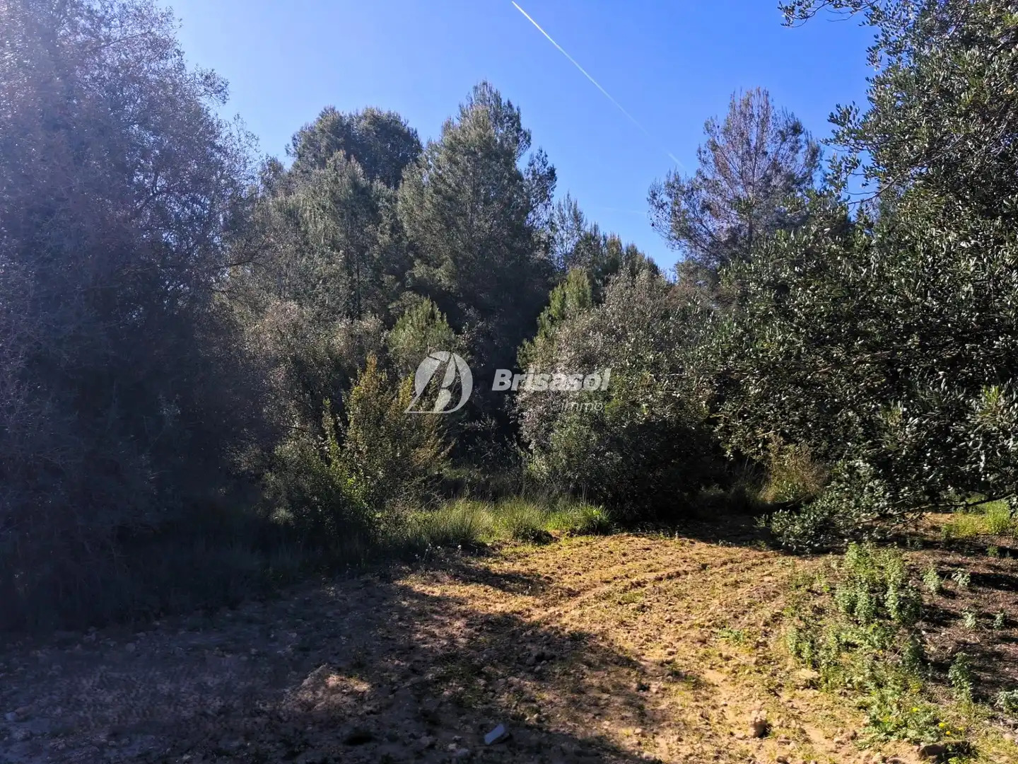Rural land for sale in La Secuita, imagen 10