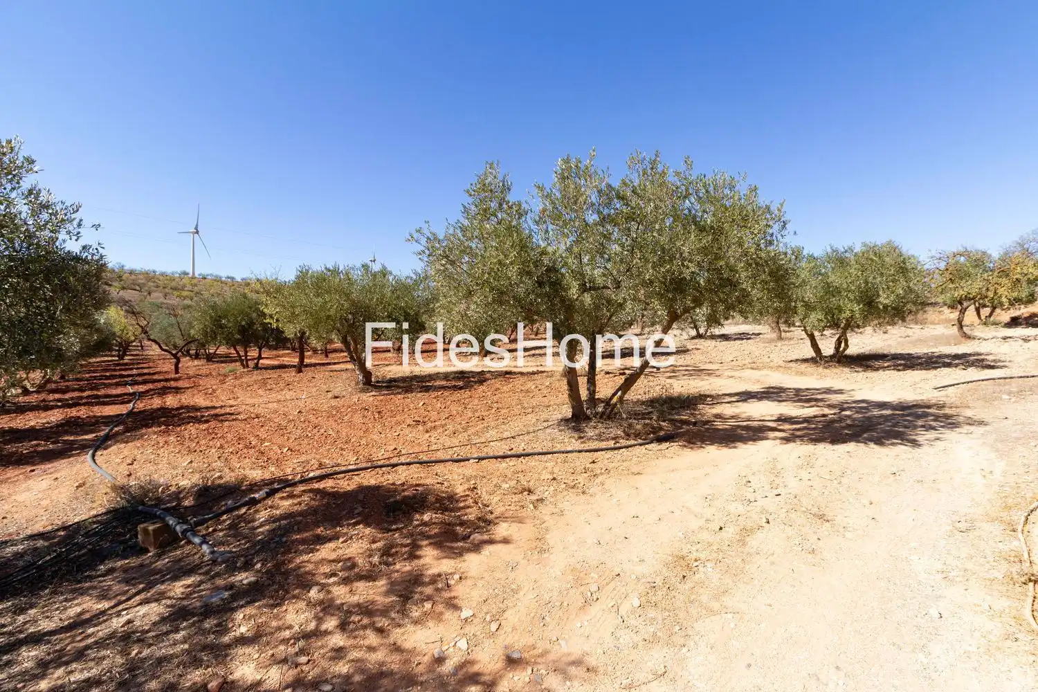Rural land for sale in XC7V+6WV Acequias 0, imagen 9