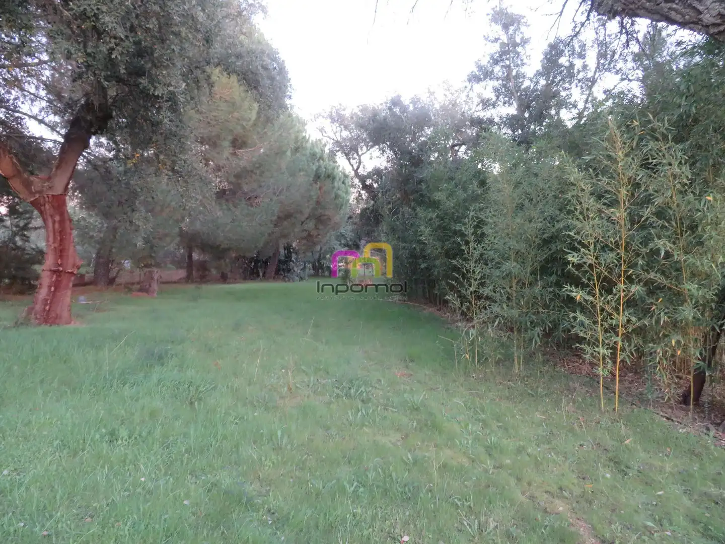 Finca rústica en venda a Casco Antiguo