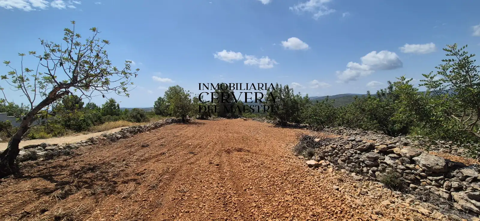 Rural land for sale in Cervera del Maestre, imagen 14