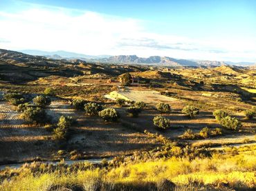 Terreny residencial en venda a CABEZO DE LA PLATA, CAÑADAS DE SAN PEDRO