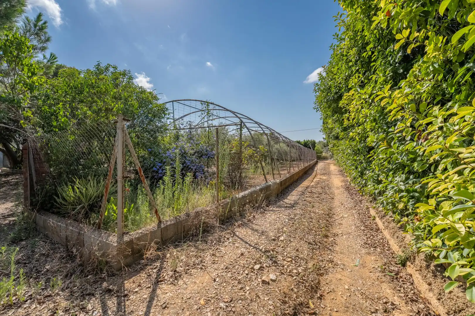 Finca rústica en venta en Riudoms con Calefacción y Jardín privado