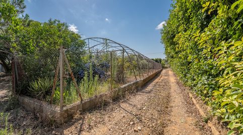 Foto 3 de Finca rústica en venta en De L'arbre, Riudoms, Tarragona