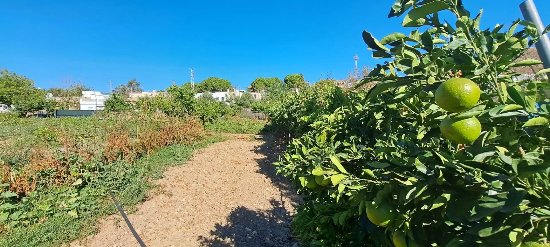 Casa con piscina in vendita a El Retiro - Parque Atlántico - Ronda este, imagen 26